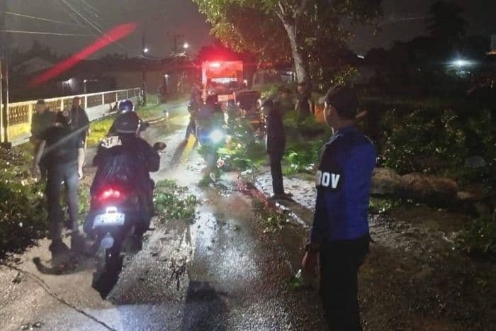 Hujan Deras dan Angin Kencang, Pohon Tumbang di Binjai