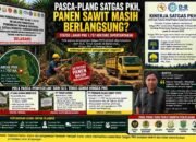 Pasca-Plang Satgas PKH, Panen Sawit Masih Berlangsung Status 1.757 Hektare Lahan PT PHS Dipertanyakan
