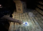 Viral di Medsos! Polisi Gerebek Gubuk Diduga Jadi Tempat Nyabu di Kebun Sawit Langkat, Bong dan Plastik Klip Ditemukan