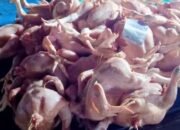 AYAM POTONG DI MEDAN TEMBUS Rp50 RIBU SEKILO! WARGA MENGELUH TAMBAH Rp10 RIBU LAGI SUDAH DAPAT SETENGAH KILO DAGING