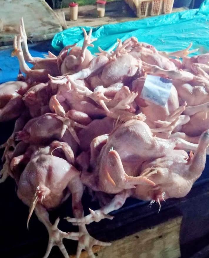 AYAM POTONG DI MEDAN TEMBUS Rp50 RIBU SEKILO! WARGA MENGELUH TAMBAH Rp10 RIBU LAGI SUDAH DAPAT SETENGAH KILO DAGING